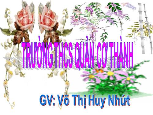 Bài 16. Kiểm tra tổng hợp cuối Học kì I