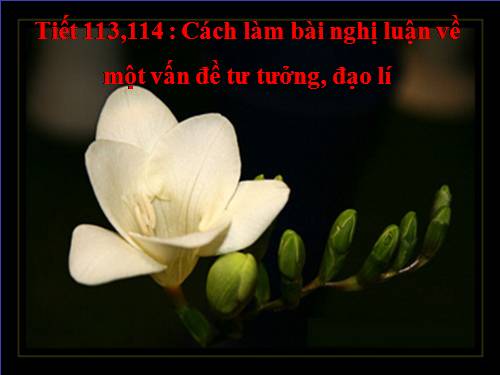 Bài 22. Cách làm bài nghị luận về một vấn đề tư tưởng, đạo lí