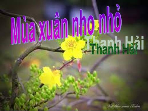 Bài 23. Mùa xuân nho nhỏ