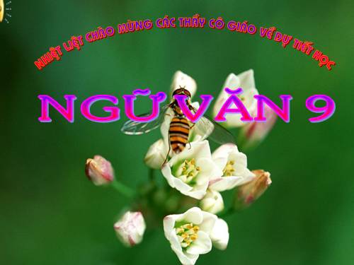 Bài 6. Truyện Kiều của Nguyễn Du