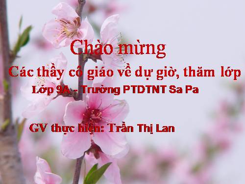 Bài 21. Liên kết câu và liên kết đoạn văn