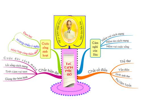 Mindmap TUC CANH PAC BO