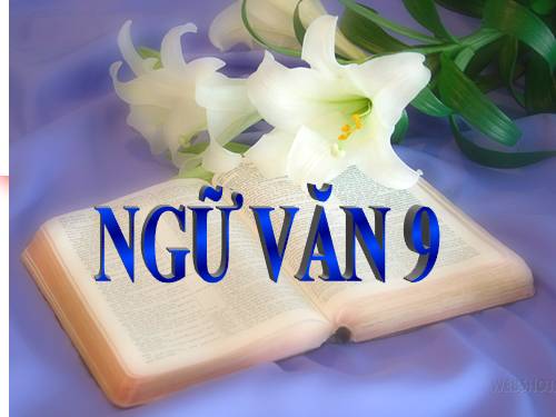 Bài 15. Chiếc lược ngà