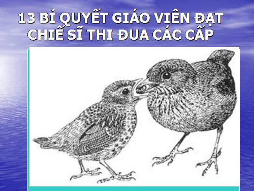 BI QUYẾT ĐẠT CHIẾN SĨ THI ĐUA CÁC CẤP