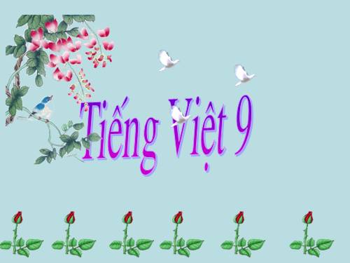 Bài 12. Tổng kết về từ vựng (Luyện tập tổng hợp)