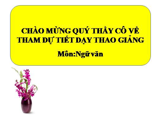Bài 9. Tổng kết về từ vựng (Từ đơn, từ phức,... từ nhiều nghĩa; Từ đồng âm,... trường từ vựng)
