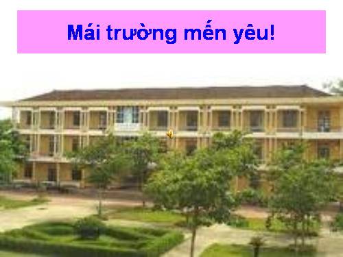 Bài 9. Tổng kết về từ vựng (Từ đơn, từ phức,... từ nhiều nghĩa; Từ đồng âm,... trường từ vựng)