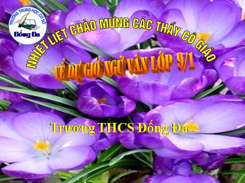 Bài 16. Cố hương