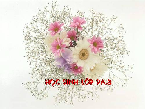 Bài 17. Những đứa trẻ