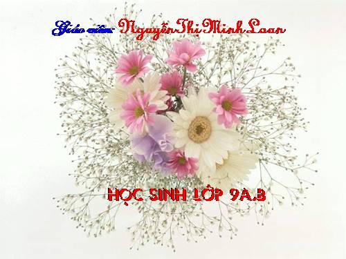 Bài 16. Cố hương