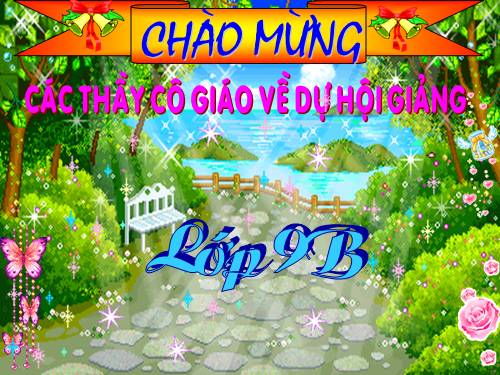 Bài 12. Tổng kết về từ vựng (Luyện tập tổng hợp)