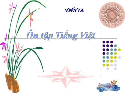 Bài 14. Ôn tập phần Tiếng Việt (Các phương châm hội thoại)