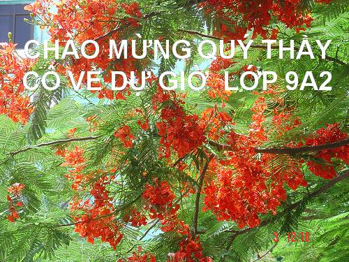Bài 12. Ánh trăng