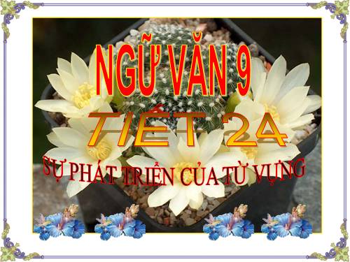 Bài 5. Sự phát triển của từ vựng (tiếp theo)