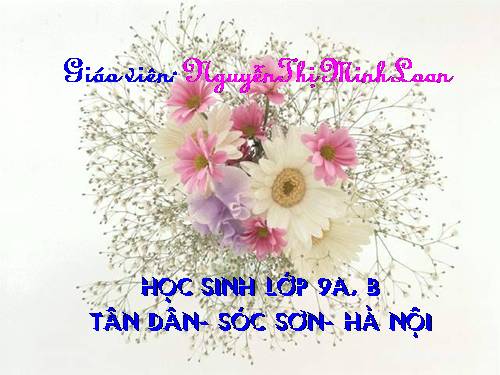 Bài 13. Chương trình địa phương (phần Tiếng Việt)