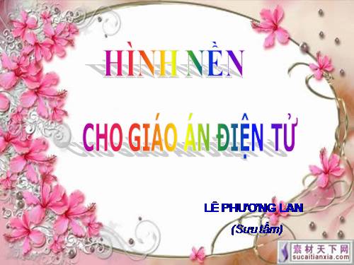 HÌNH NỀN CHO GIÁO ÁN ĐIÊN TỬ