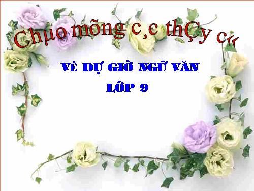 Bài 9. Tổng kết về từ vựng (Từ đơn, từ phức,... từ nhiều nghĩa; Từ đồng âm,... trường từ vựng)