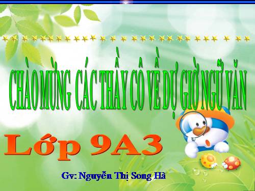 Bài 9. Tổng kết về từ vựng (Từ đơn, từ phức,... từ nhiều nghĩa; Từ đồng âm,... trường từ vựng)