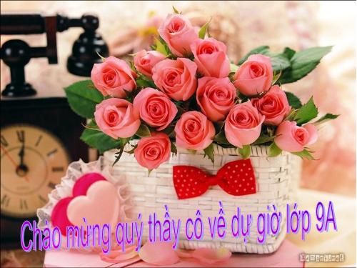 Bài 11. Đoàn thuyền đánh cá