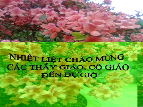 Bài 8. Lục Vân Tiên cứu Kiều Nguyệt Nga