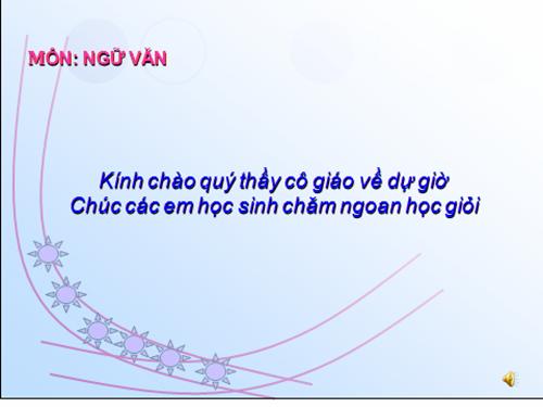 Bài 11. Tổng kết về từ vựng (Từ tượng thanh, tượng hình, một số phép tu từ từ vựng)