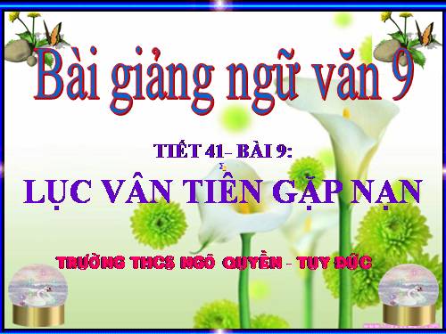 Bài 9. Lục Vân Tiên gặp nạn