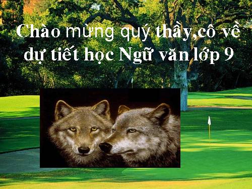 Bài 31. Con chó Bấc