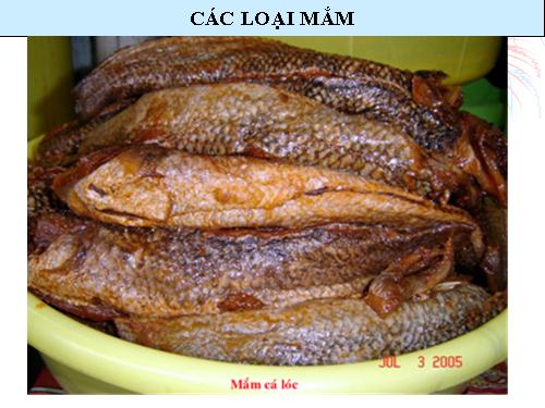 Mam cong - Tac gia Nguyen Ho