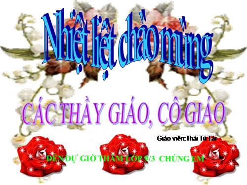 Bài 9. Tổng kết về từ vựng (Từ đơn, từ phức,... từ nhiều nghĩa; Từ đồng âm,... trường từ vựng)