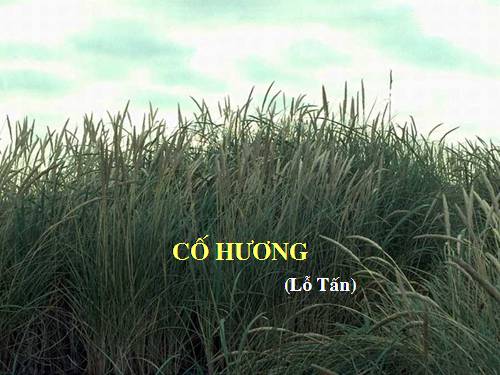 Bài 16. Cố hương