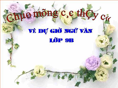 Bài 9. Tổng kết về từ vựng (Từ đơn, từ phức,... từ nhiều nghĩa; Từ đồng âm,... trường từ vựng)