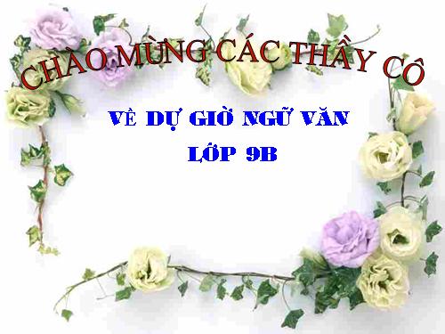 Bài 9. Tổng kết về từ vựng (Từ đơn, từ phức,... từ nhiều nghĩa; Từ đồng âm,... trường từ vựng)