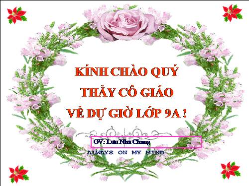 Bài 9. Tổng kết về từ vựng (Từ đơn, từ phức,... từ nhiều nghĩa; Từ đồng âm,... trường từ vựng)