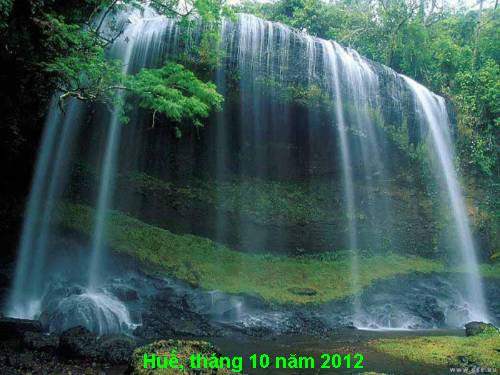 Bài 8. Lục Vân Tiên cứu Kiều Nguyệt Nga
