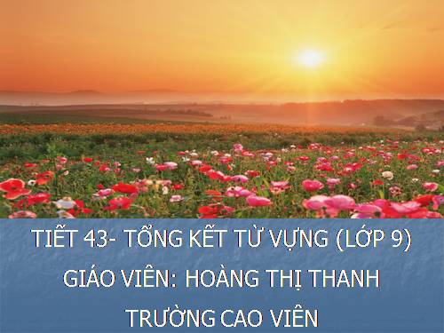 Bài 9. Tổng kết về từ vựng (Từ đơn, từ phức,... từ nhiều nghĩa; Từ đồng âm,... trường từ vựng)