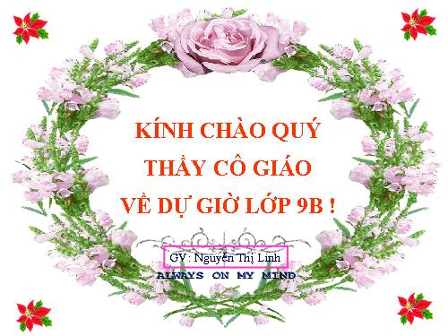 Bài 9. Tổng kết về từ vựng (Từ đơn, từ phức,... từ nhiều nghĩa; Từ đồng âm,... trường từ vựng)