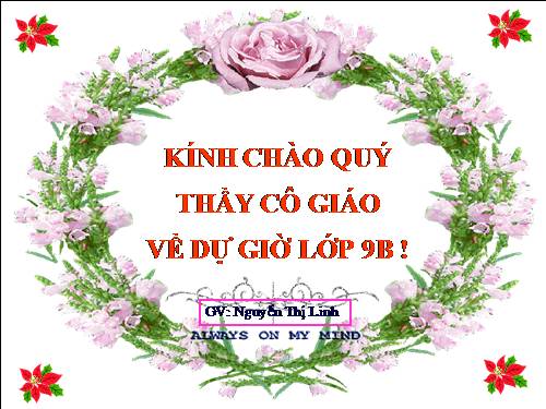 Bài 9. Tổng kết về từ vựng (Từ đơn, từ phức,... từ nhiều nghĩa; Từ đồng âm,... trường từ vựng)