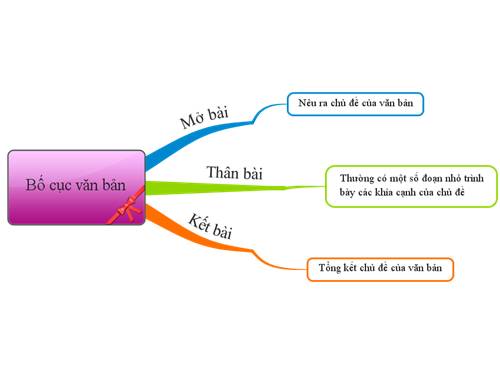 Bố cục văn bản