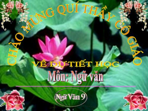 Bài 29. Rô-bin-xơn ngoài đảo hoang
