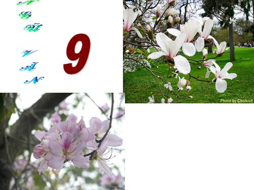 Bài 10. Bài thơ về tiểu đội xe không kính