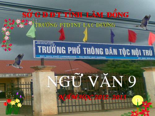 Bài 9. Lục Vân Tiên gặp nạn