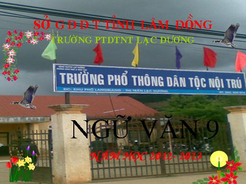 Bài 8. Lục Vân Tiên cứu Kiều Nguyệt Nga