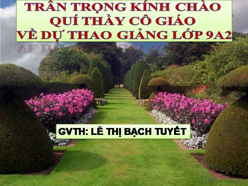 Bài 29. Rô-bin-xơn ngoài đảo hoang