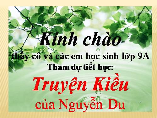 Bài 6. Truyện Kiều của Nguyễn Du