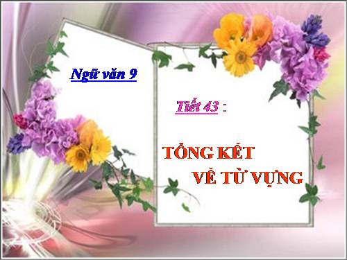 Bài 9. Tổng kết về từ vựng (Từ đơn, từ phức,... từ nhiều nghĩa; Từ đồng âm,... trường từ vựng)