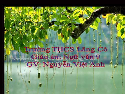 Bài 4. Sự phát triển của từ vựng