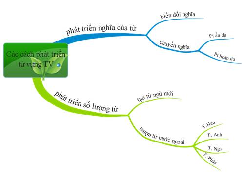 Các cách phát triển từ vựng TV (BĐTD)