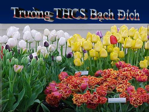 Bài 5. Chuyện cũ trong phủ chúa Trịnh