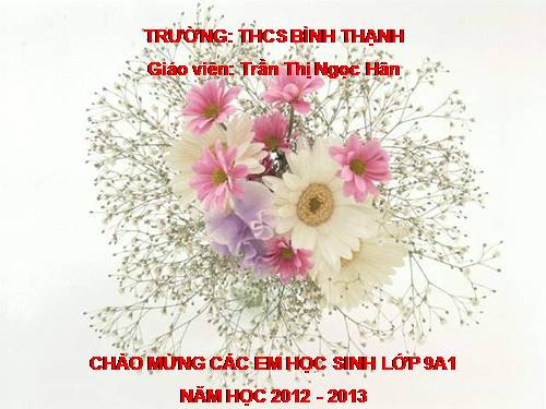 Bài 4. Sự phát triển của từ vựng