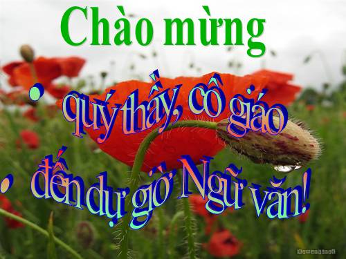 Bài 9. Tổng kết về từ vựng (Từ đơn, từ phức,... từ nhiều nghĩa; Từ đồng âm,... trường từ vựng)